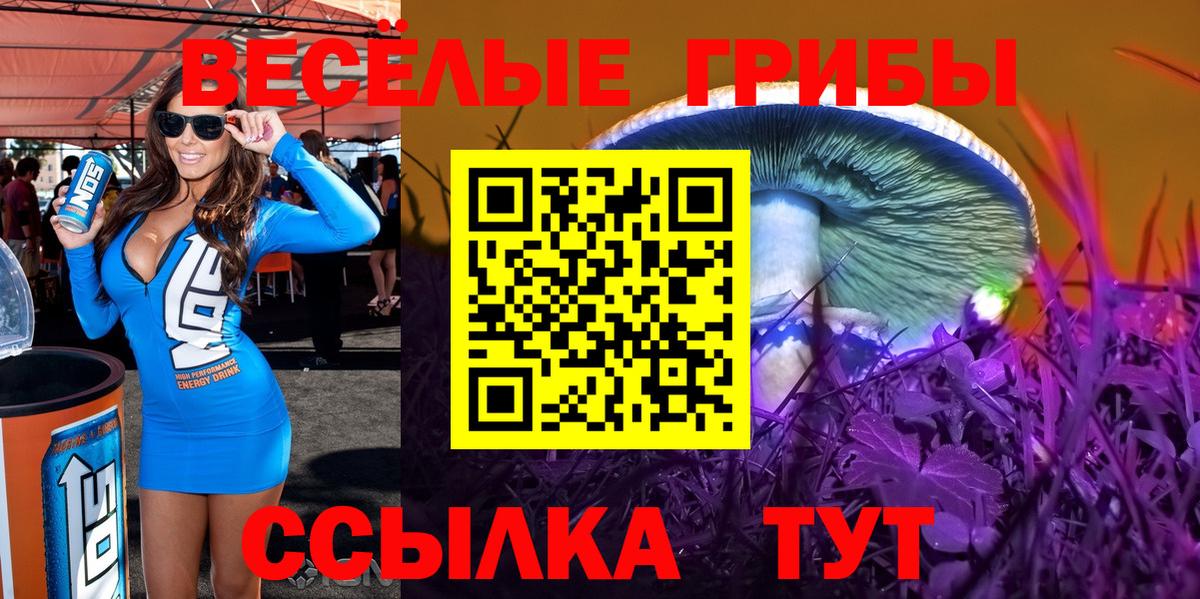 Галлюциногенные грибы Psilocybe Сарапул