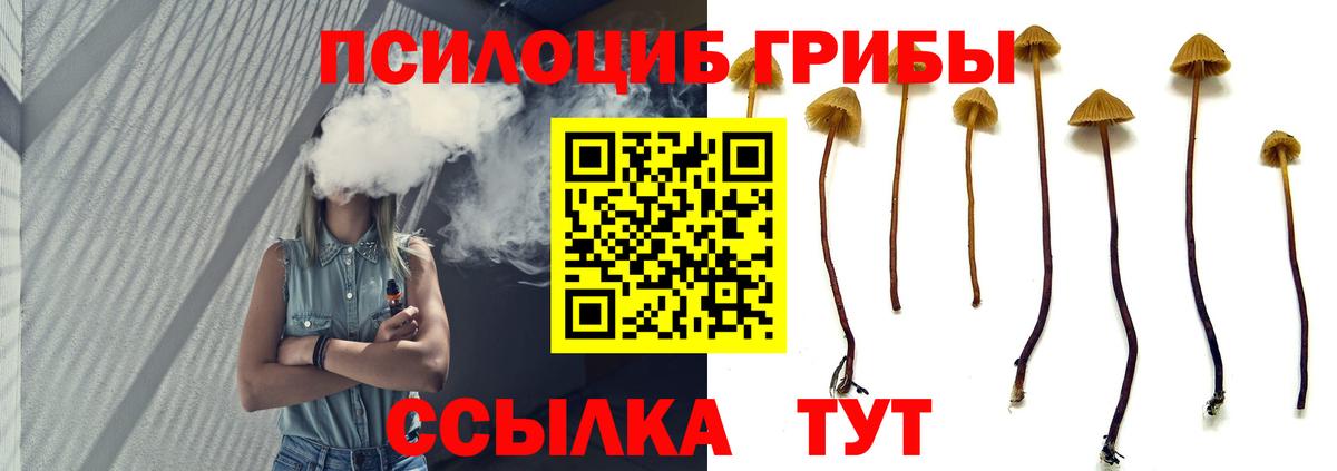 Сарапул  Галлюциногенные грибы MAGIC MUSHROOMS  Вход с VPN 